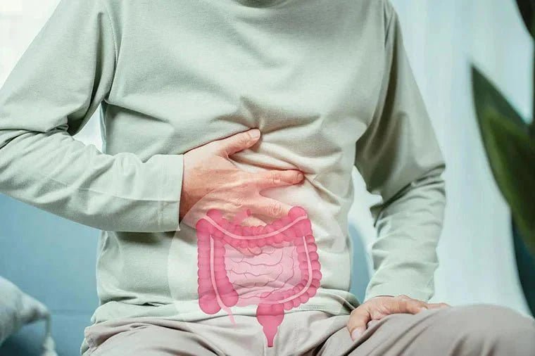 Intestinal Microbiota & UTI - QuickChange Incontinence Wrap - UK